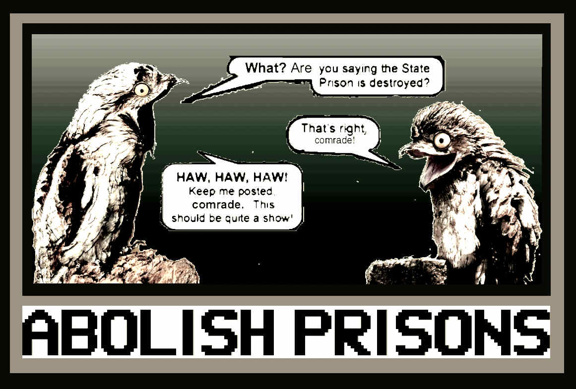 Two potoos are sitting across from each other. One says, 'What? Are you saying the State Prison is destroyed?' The other responds, 'That's right, comrade!' The first potoo responds, 'Haw, haw, haw! Keep me posted comraade. This should be quite a show!' The caption below the picture says 'Abolish prisons'