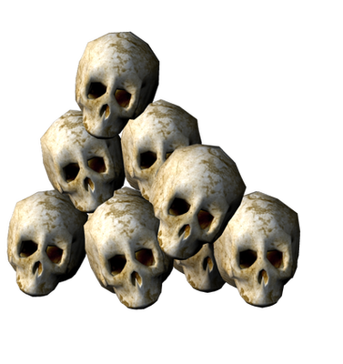 A pile of human skull
